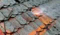 Perfect - Czyszczenie dachówki z mchów i porostów